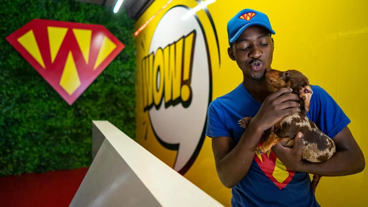 Superwoof Dog Hotel & Daycare Le Cap Afrique du Sud
