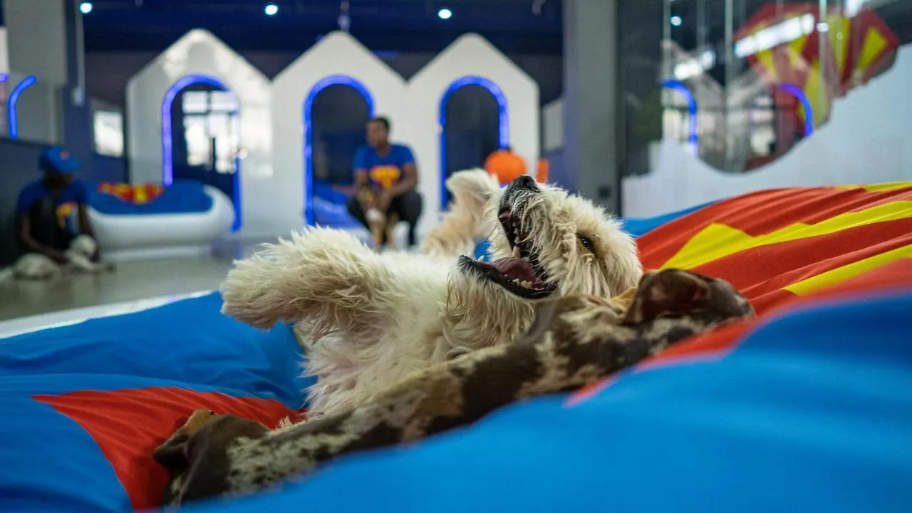 Superwoof Dog Hotel & Daycare Le Cap