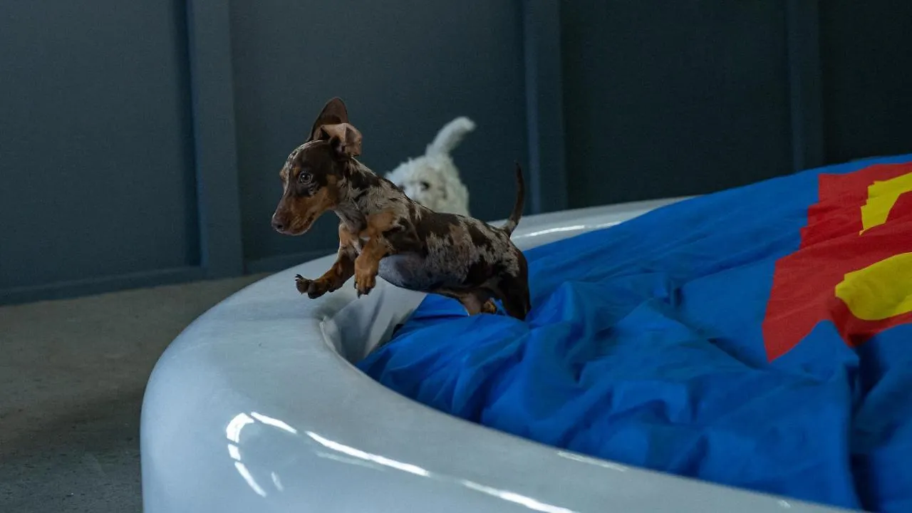 Superwoof Dog Hotel & Daycare Le Cap 5*,