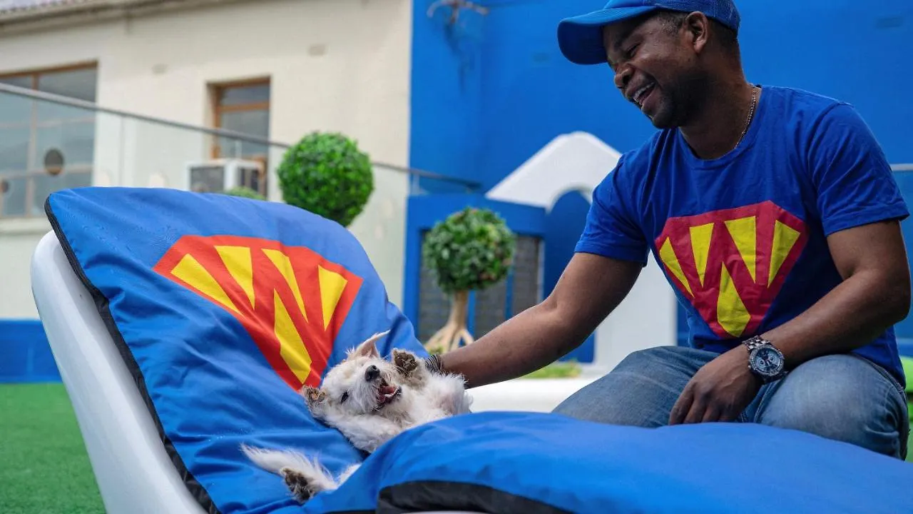 Superwoof Dog Hotel & Daycare Le Cap